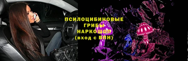 спайс Няндома