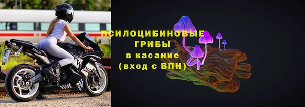 бошки Осташков