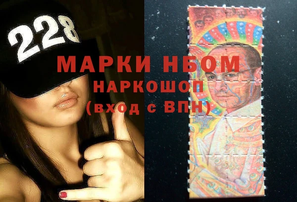 спайс Няндома