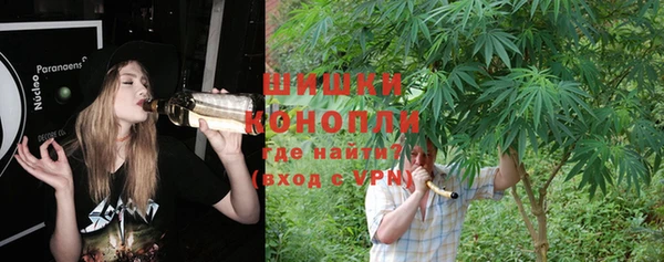 тгк Осинники