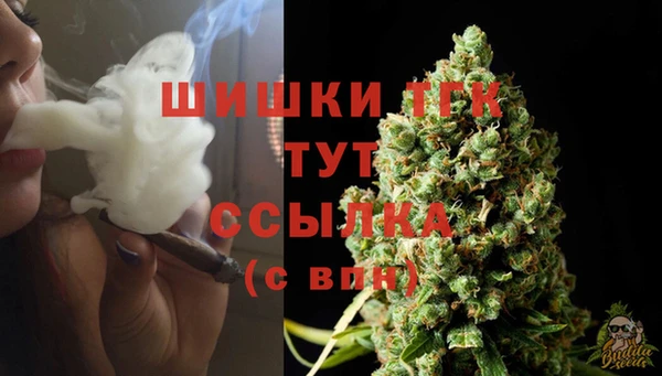 прущий лед Нягань
