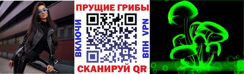 Купить закладки  Снежинск  Псилоцибиновые грибы мицелий 